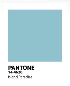 PANTONE en internet