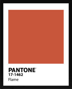 PANTONE - comprar online