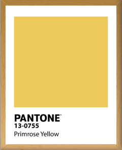 PANTONE