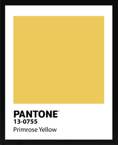 PANTONE - comprar online