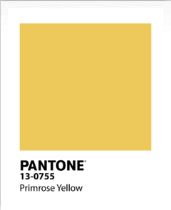 PANTONE en internet