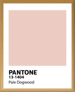 PANTONE