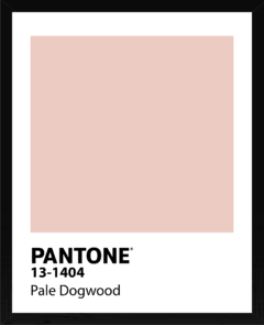 PANTONE - comprar online