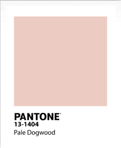 PANTONE en internet