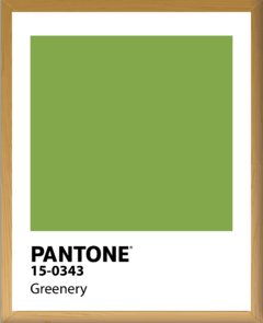 PANTONE