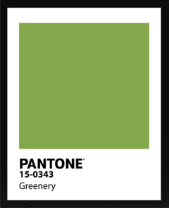 PANTONE - comprar online