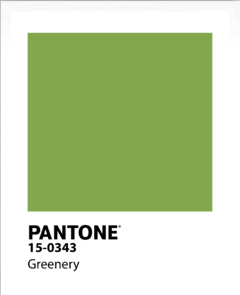 PANTONE en internet