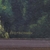 ERNST BACHMANN - Óleo sobre tela Paisagem com casa, assinado no c.i.d. Medidas: 30,5 x 24,5 cm(MI) ou 44,5 x 38,5 cm(ME) na internet