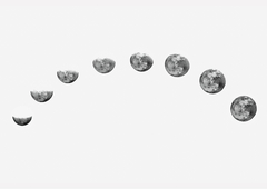 Fases de Luna blanco