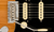 Imagen de FENDER - American Professional II Stratocaster | American Professional II Series |