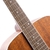 CORT - Guitarra Acústica AF590MF BOP en internet