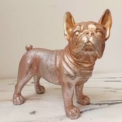 BULLDOG ROSA GOLD AZ2