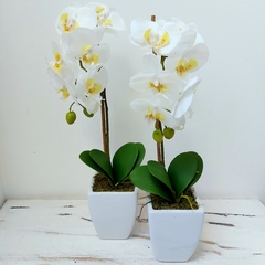 ORQUIDEA BLANCA CON MACETA AZ3