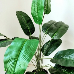 PLANTA ARTIFICIAL STERLITZIA - comprar online