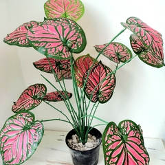 PLANTA ARTIFICIAL CALADIO 'PINK'