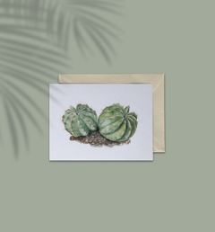 Cartão Cactos - Echinocactus