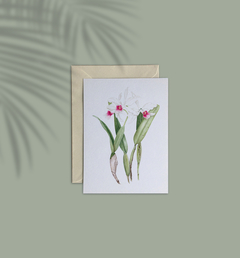 Cartão Orquídea Laelia Purpurata Reginae