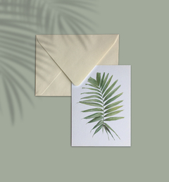 Cartão Palmeira Elegans - comprar online