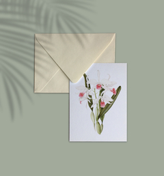 Cartão Orquídea Laelia Purpurata Carnea - comprar online