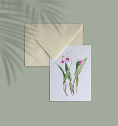Cartão Orquídea Laelia Purpurata Reginae - comprar online