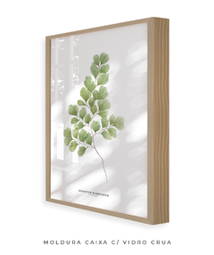 Quadro Decorativo Avenca