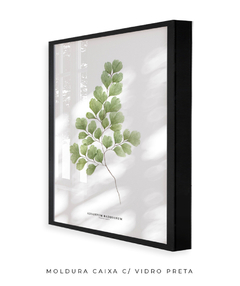 Quadro Decorativo Avenca - loja online