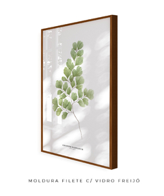 Quadro Decorativo Avenca - Flowersjuls - Quadros decorativos botânicos | Aquarelas autorais