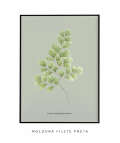 Quadro Decorativo Avenca - Fundo Pistacchio - Flowersjuls - Quadros decorativos botânicos | Aquarelas autorais