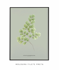 Quadro Decorativo Avenca - Fundo Pistacchio - Flowersjuls - Quadros botânicos decorativos | Aquarelas autorais