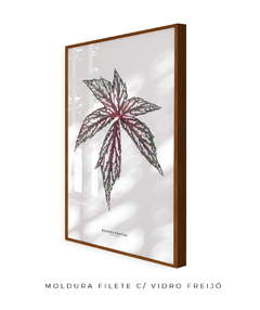 Quadro decorativo Begonia Grandis - loja online