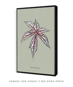 Quadro Decorativo Begonia Grandis - Fundo Pistacchio - comprar online