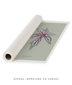 Imagem do Quadro Decorativo Begonia Grandis - Fundo Pistacchio