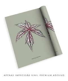 Quadro Decorativo Begonia Grandis - Fundo Pistacchio - comprar online