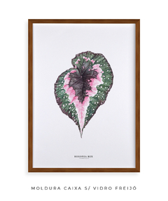 Quadro decorativo Begonia Rex na internet