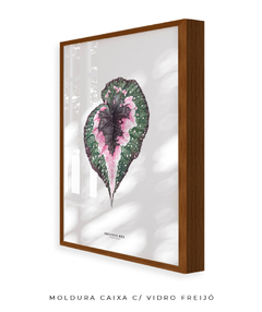 Quadro decorativo Begonia Rex - loja online