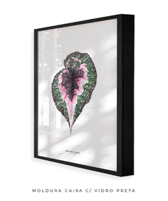 Quadro decorativo Begonia Rex - loja online