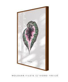 Quadro decorativo Begonia Rex - comprar online