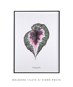 Quadro decorativo Begonia Rex - comprar online