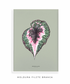 Quadro Decorativo Begonia Rex - Fundo Pistacchio - comprar online