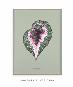 Quadro Decorativo Begonia Rex - Fundo Pistacchio na internet