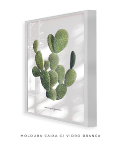 Quadro DECORATIVO Cactos Opuntia - loja online