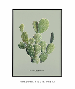 Quadro Decorativo Cactos Opuntia - Fundo Pistacchio - Flowersjuls - Quadros decorativos botânicos | Aquarelas autorais