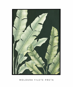 Quadro Decorativo Composição Helicônia Esmeralda III - Flowersjuls - Quadros decorativos botânicos | Aquarelas autorais