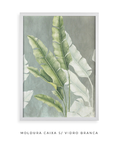 Quadro Decorativo Composição Heliconia II - loja online