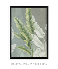 Quadro Decorativo Composição Heliconia II - loja online