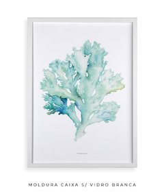 Quadro decorativo Coral I - Flowersjuls - Quadros decorativos botânicos | Aquarelas autorais