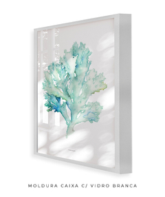 Quadro decorativo Coral I - loja online