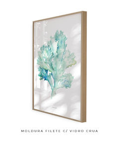 Quadro decorativo Coral I - comprar online