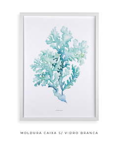 Quadro decorativo Coral II - Flowersjuls - Quadros decorativos botânicos | Aquarelas autorais