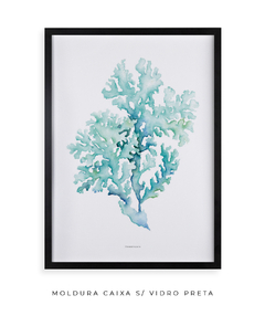 Quadro decorativo Coral II - loja online